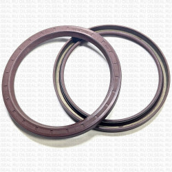 Сальник 100x120x10 SGW31 Viton 80-N03-C-C NAK