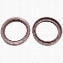 Сальник 55x72x10 TC Viton 80-C-C WLK