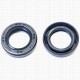 Сальник 15x24x6 TC NBR 70-C-C WLK