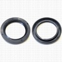 Сальник 72x100x13 SC NBR 70-C-C GUF