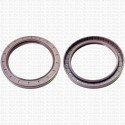 Сальник 100x130x12 TC Viton 80-N01-C-S NAK
