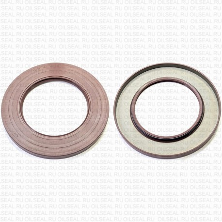 Сальник 100x160x12 TC-OF Viton 80-N01-C-C NAK