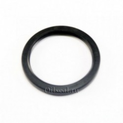 Сальник 55x68x8 TC NBR 70-K01B-C-C NAK