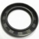 Сальник 55x80x10 TC NBR 70-C-C WLK