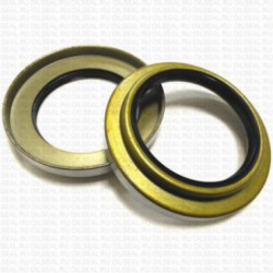 Сальник 100x145x15/26 TAY NBR 70-C-C WLK