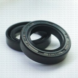 Сальник 28x43x10 TC NBR 70-C-C WLK
