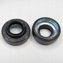 Сальник 16x30x8.65/13.15 VGA2 PTFE NAK
