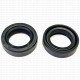 Сальник 15x23x6 TC NBR 70-C-C SOG