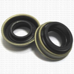 Сальник 25x47/51x9.5/16 SBJ3R9 Viton 80-K01-C-C NAK