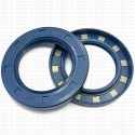 Сальник 55x85x10 TC NBR 70-B01B-C-C NAK