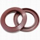 Сальник 65x95x10 TF Viton 80-N03-C-S NAK