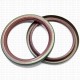 Сальник 85x105x10 SB-H Viton 80-N01-C-C NAK