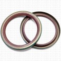 Сальник 85x105x10 SB-H Viton 80-N01-C-C NAK