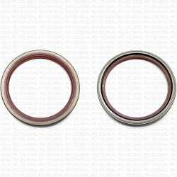 Сальник 100x120x12 SA Viton 80-N03-C-C NAK