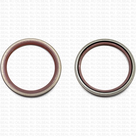 Сальник 100x120x12 SA Viton 80-N03-C-C NAK
