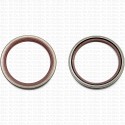 Сальник 100x120x12 SA Viton 80-N03-C-C NAK