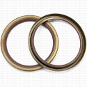 Сальник 100x120x12 SB Viton 80-N03-C-C NAK
