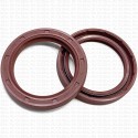 Сальник 45x60x8.2 TGW Viton 80-N03-C-C NAK
