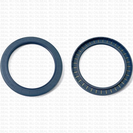 Сальник 125x160x13 TG NBR 70-B01B-C-C NAK