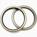 Сальник 100x120x12 TA NBR 70-C-C WLK