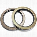 Сальник 130x170x13 SA NBR 70-K01B-C-C NAK