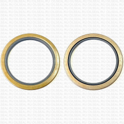 Сальник 100x127x10 SA NBR 70-K01B-C-C NAK