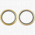 Сальник 100x127x10 SA NBR 70-K01B-C-C NAK