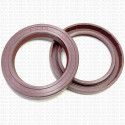 Сальник 55x78x10 SF Viton 80-N01-C-S NAK