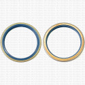 Сальник 125x150x15 TA NBR 80-B01B-C-C NAK