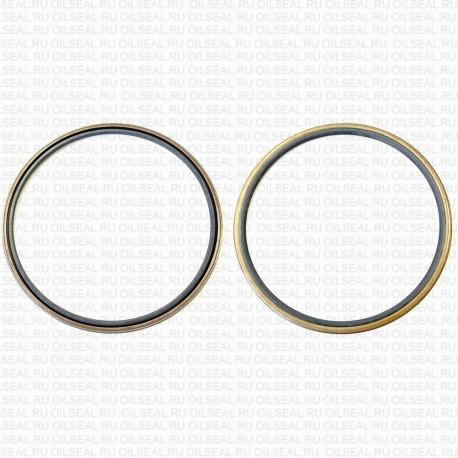 Сальник 275x300x15 SA NBR 70-K01B-C-C NAK