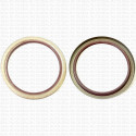 Сальник 130x160x12.5 TB Viton 75-N05-C-C NAK