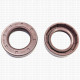 Сальник 25x40x10 TCN1 Viton-80-N-03/C/S NAK