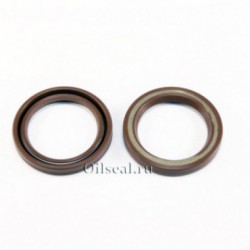 Сальник 33x44.5x6 SGN1 Viton 80-N01-C-C NAK