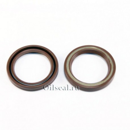 Сальник 33x44.5x6 SGN1 Viton 80-N01-C-C NAK